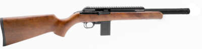 CHIAPPA FIREARMS BUSHRANGER 22LR WD/CF 10RD 16"