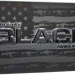 HORNADY BLACK 300 AAC 110GR - NTX 20RD 10BX/CS