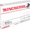 WINCHESTER USA 300 AAC 125GR - FMJ 20RD 10BX/CS