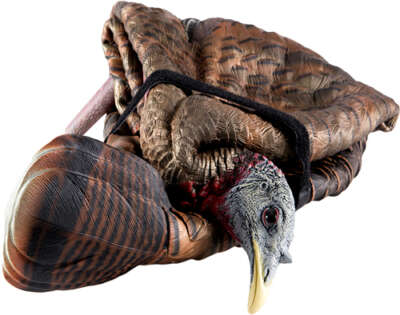 AVIAN X LCD FEEDER HEN DECOY