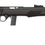 ROSSI RB22 22LR BLK/SYN 18" 10+1
