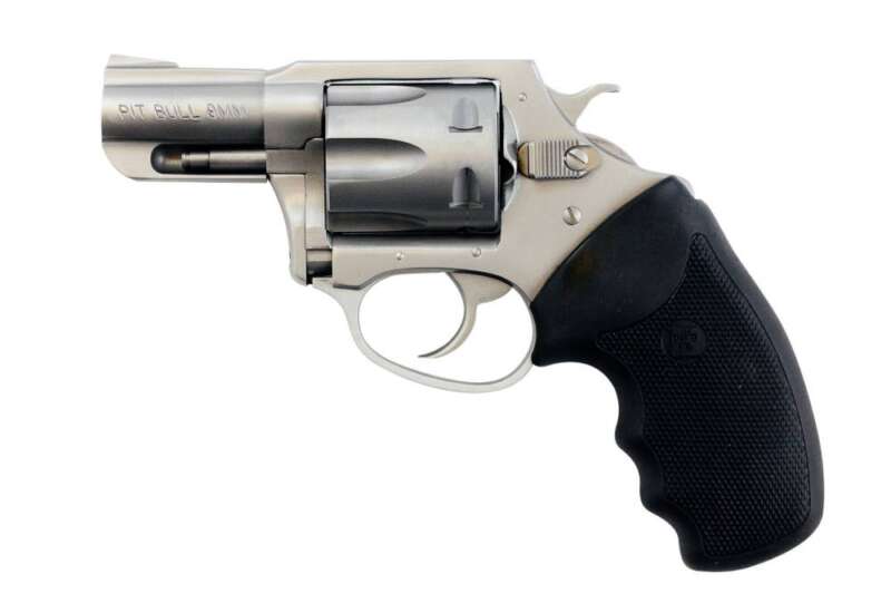 CHARTER ARMS CHARTER PITBULL 9MM SS 2" FS