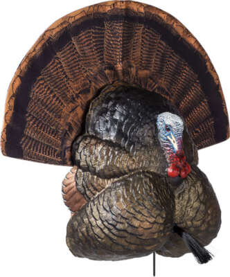 FLEXTONE THUNDER CREEPER - STRUTTER DECOY W/ FOLDING FAN