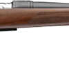 BROWNING AB3 PRO HUNTER 270 - WIN 22" BLUED WOOD