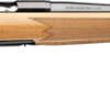BROWNING X-BOLT 2 MEDALLION - 243 WIN 22" MAPLE/BLUED