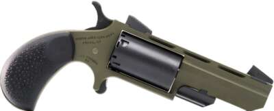 NAA HUNTSMAN MINI-REVOLVR - 22LR/22WMR 2" FIXED OD GRN