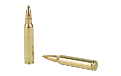 PMC BRNZ 223REM 55GR FMJ 20/1000