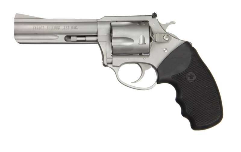 CHARTER ARMS TARGET MAG PUG 357 SS 4.2" AS
