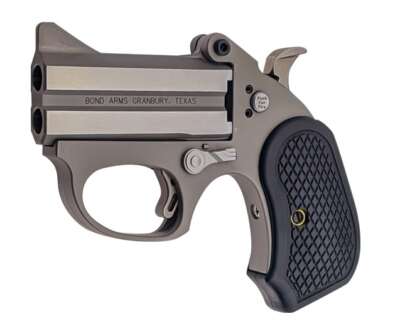 BOND ARMS HONEY-B 22LR SS 3" FS EXT GRPS