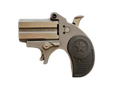 BOND ARMS STUBBY 22LR SS 2.2" FS