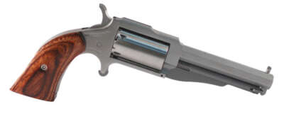 NORTH AMERICAN ARMS THE EARL 22LR/22MAG 3" SS 5SH