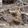 RED ROCK GHILLIE SUIT DESERT - 5 PIECE ADULT MEDIUM/LARGE
