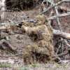 RED ROCK GHILLIE SUIT DESERT - 5 PIECE ADULT XL/XXL