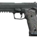 SIG P226 XFIVE EXTREME 9MM 5" - XRAY3 (3)20RD GREY W/HOGUE G10