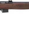 ROSSI RB22 22WMR RIFLE BOLT - 21" MATTE WOOD