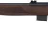 ROSSI RB22 22WMR RIFLE BOLT - 21" MATTE WOOD
