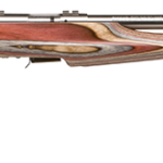 SAVAGE ARMS 93 BOLT 22MAG SS/LAM EVO FLT #