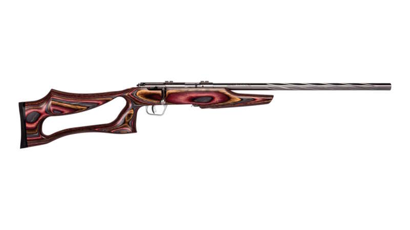SAVAGE ARMS MARK II 22LR BOLT SS/EVO LAM #