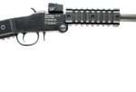 CHIAPPA FIREARMS LITTLE BADGER 17HMR 16.5"