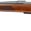 BROWNING AB3 PRO HUNTER 270 - WIN 22" BLUED DARK MAPLE