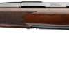 BROWNING X-BOLT 2 MEDALLION - 300WM 22" BLUED WALNUT THREAD