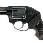 CHARTER ARMS THE WALKER 22 LR - 8-SHOT RUBBER GRIPS BLACK