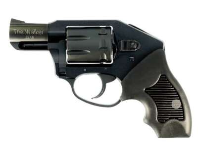 CHARTER ARMS THE WALKER 22 LR - 8-SHOT RUBBER GRIPS BLACK