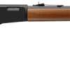 WINCHESTER RANGER 22LR 20.5" - MATTE BLUED/SATIN WALNUT
