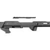 STRIKE MOD CHASSIS RUGER 10/22