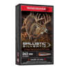 WIN BLSTC TIP 243WIN 95GR 20/200