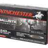WIN BLSTC TIP 243WIN 95GR 20/200