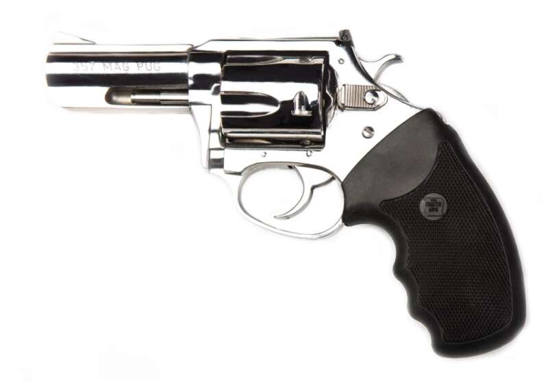 CHARTER ARMS CHARTER MAG PUG 357 POLISH 3"