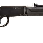 ROSSI RIO BRAVO 22WMR BK/SY 20"    #