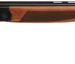 CZ QUAIL O/U 20GA 28" VR - WALNUT 13-3/4" LOP